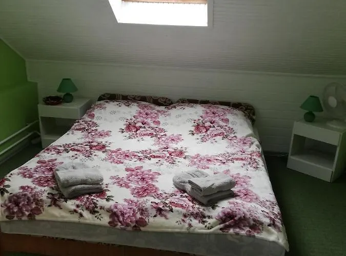 Grill Garten Vendeghaz