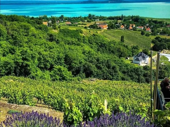 Grill Garten Vendégház 3* Keszthely