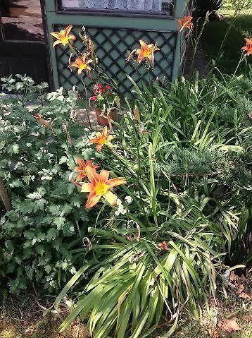 Grill Garten Vendeghaz 3* קסזטלי