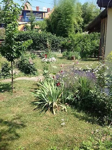 Grill Garten Vendeghaz קסזטלי