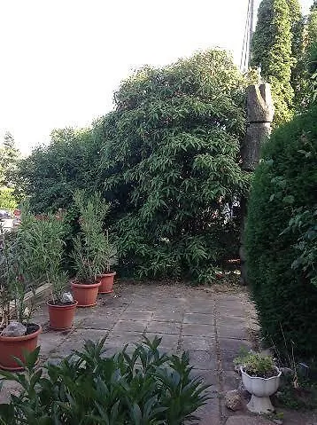 Pensión Grill Garten Vendégház